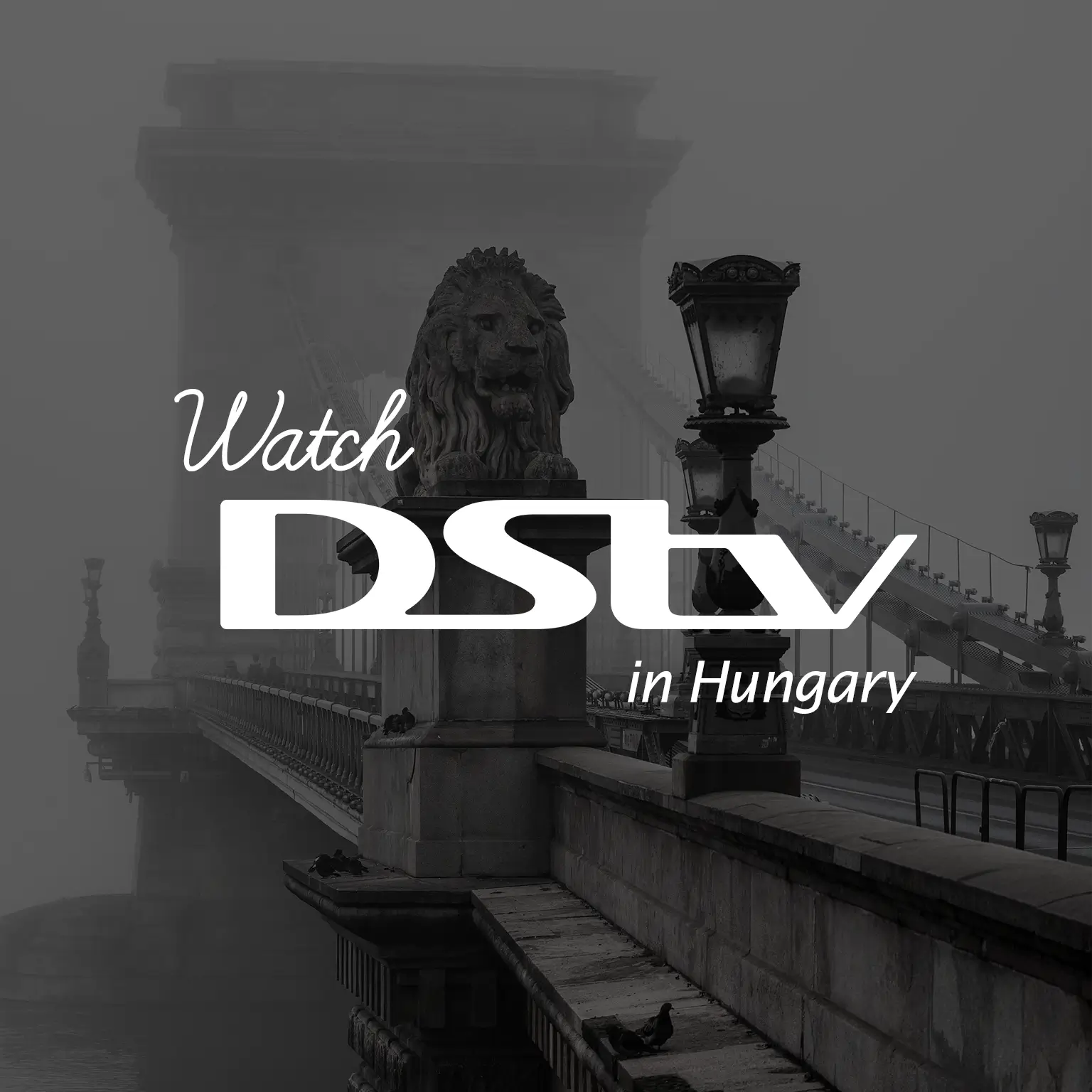 Watch DStv in Hungary
