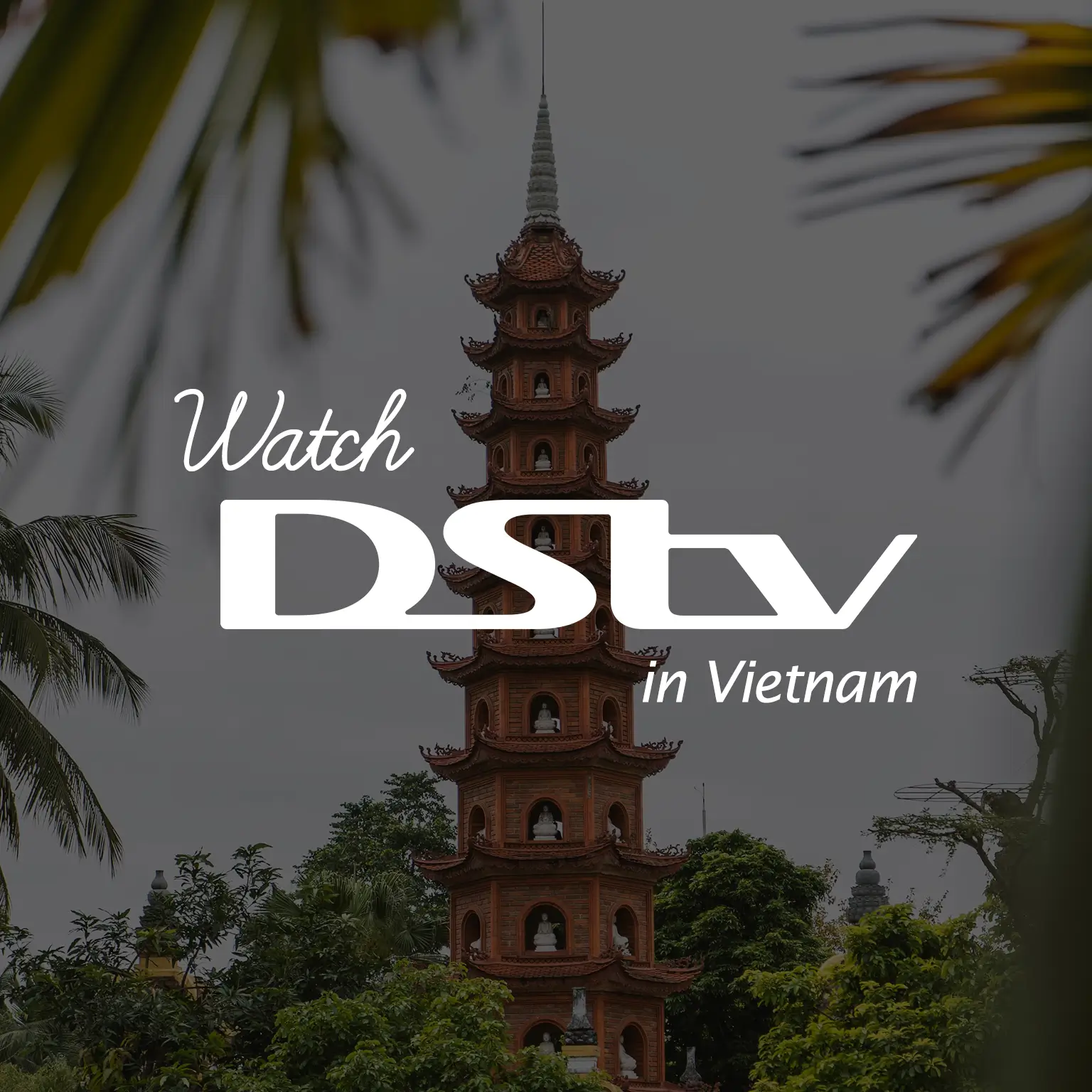 Watch DStv in Vietnam