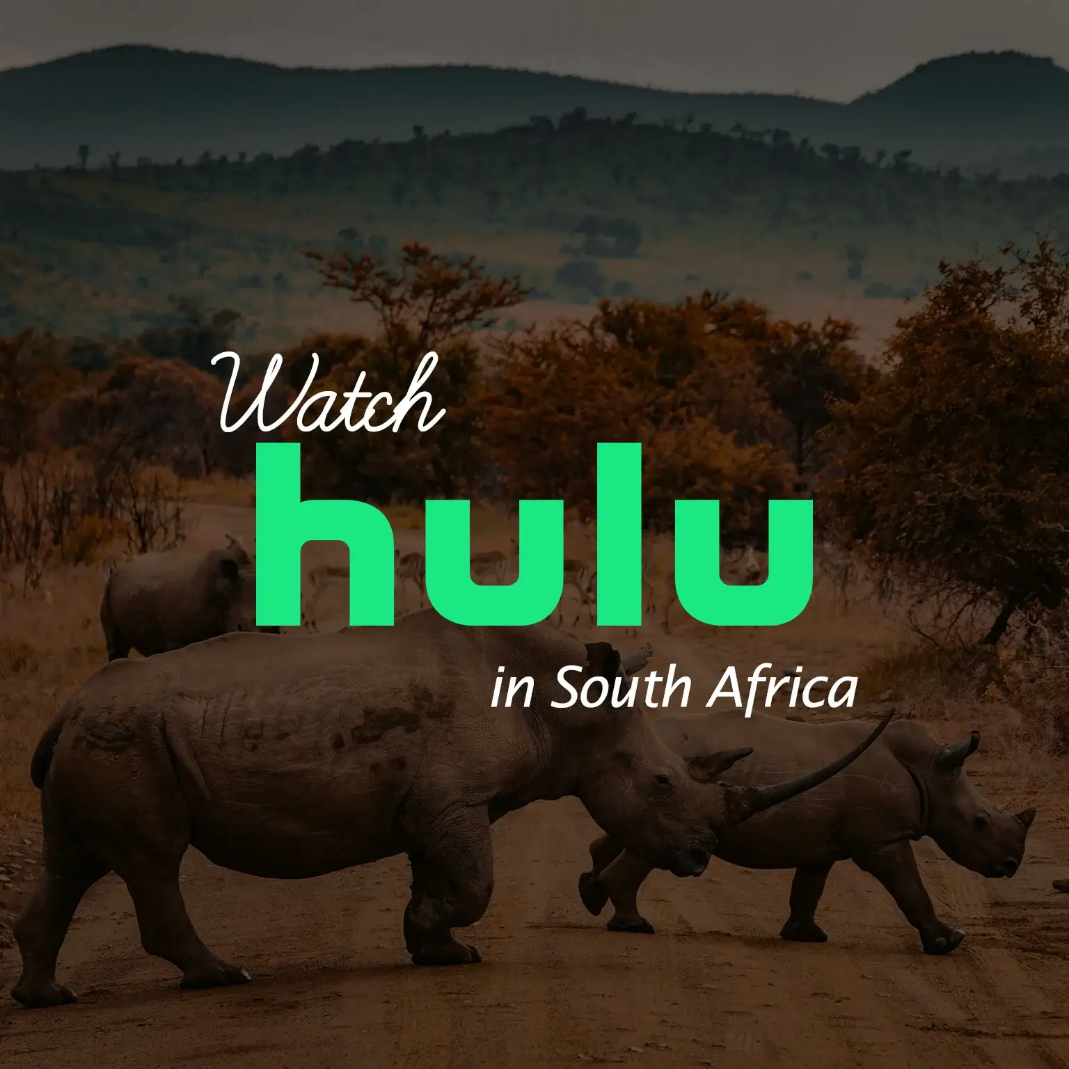 Watch Hulu in South Africa